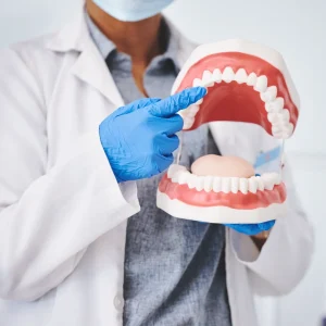 Instructor pointing to a full-mouth model during dental anatomy classes.